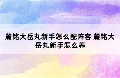 麓铭大岳丸新手怎么配阵容 麓铭大岳丸新手怎么养